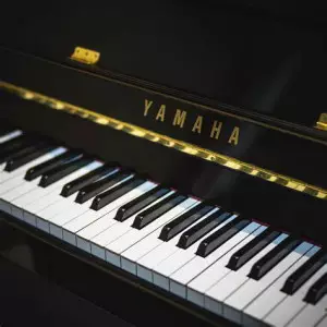 انواع کوک پیانو 
